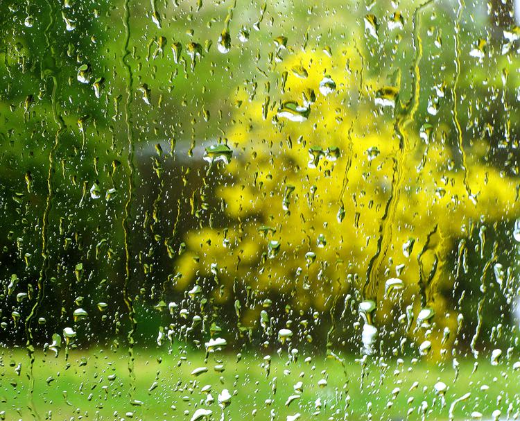 ხვალიდან ამინდი გაუარესდება - მოსალოდნელია წვიმა და 22-24 გრადუსი ტემპერატურა