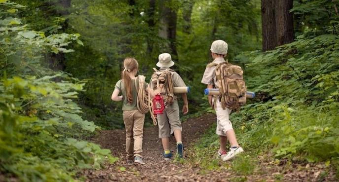 როგორ ტარდება სკოლის ექსკურსიები სხვა ქვეყნებში - "მშობლის გაყოლა არავითარ შემთხვევაში არ შეიძლება"