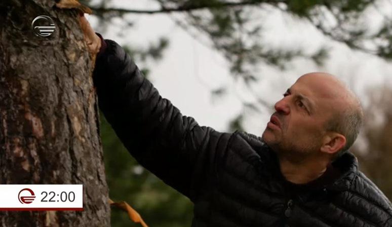 "თავში უამრავჯერ დავატრიალე ეს კადრი... ვცდილობ, ავაცილო იმ ხეს ჩემი შვილი" - მევლუდ მელაძე საბედისწერო ავარიის შესახებ