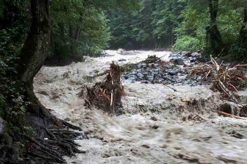 ლაგოდეხში მდინარეში ჩავარდნილი გოგონას ცხედარი იპოვეს