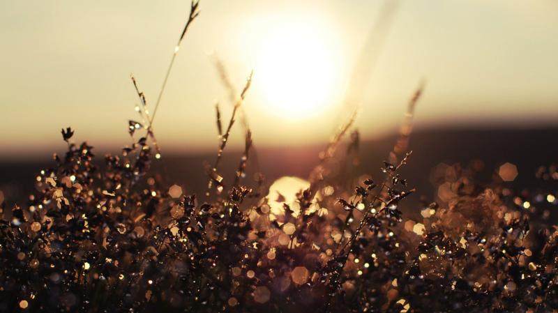 როდის გამოიდარებს საქართველოში - უახლოესი დღეების პროგნოზი