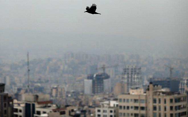 თბილისის რომელ უბანშია ყველაზე სუფთა ჰაერი?