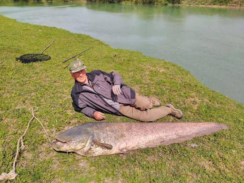 ზუგდიდელმა მეთევზემ ანკესით ადამიანის ზომის თევზი დაიჭირა