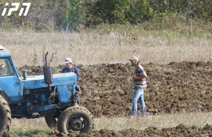 "მგლის შიშით ცხვარი ვის გაუწყვეტია" - ატოცის მცხოვრებლები საოკუპაციო ხაზთან მიწას ამუშავებენ