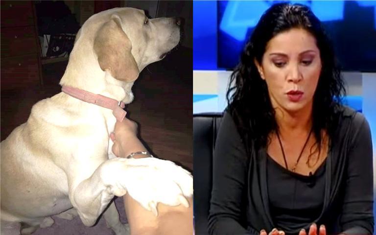 პატრონისგან მიტოვებული ძაღლი, რომლის ვიდეომ "ფეისბუქი" შეძრა, მანჩო გიორგობიანმა შეიფარა - "ჩემს შვილსაც ძალიან უყვარდა ცხოველები..."