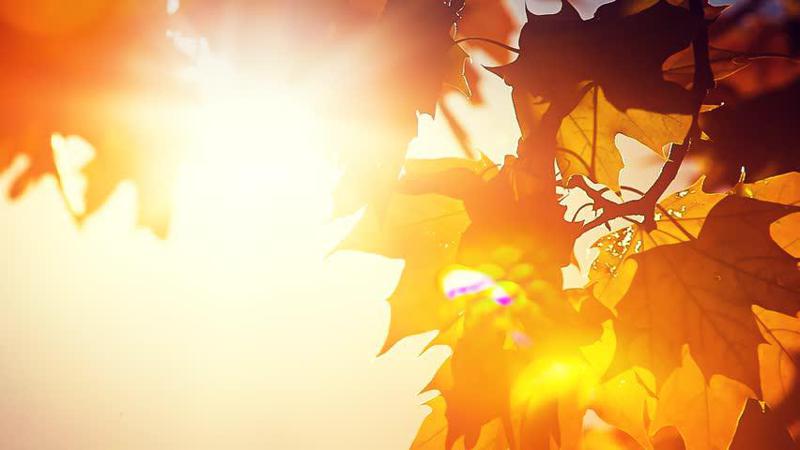 როგორია უახლოესი დღეების პროგნოზი - გარემოს ეროვნული სააგენტოს ინფორმაცია