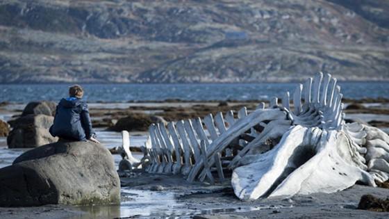 5 ფილმი, რომელიც ბიბლიის დიდ გავლენას განიცდის