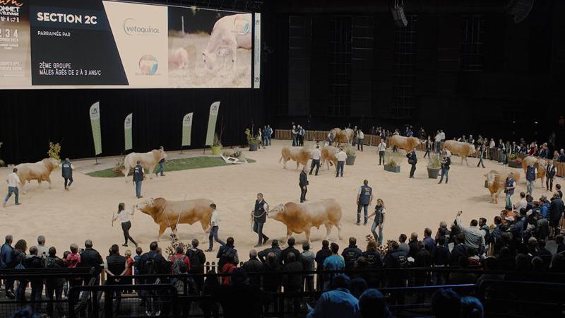 ქართველ ფერმერებს მეცხოველეობის საერთაშორისო გამოფენაში მონაწილეობის მიღების  შესაძლებლობა მიეცათ