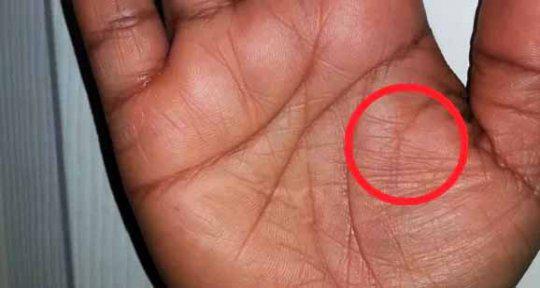 ეს ხაზი ყველას არ აქვს, თუ ის აღმოაჩინეთ ხელის გულზე, ძალიან გაგიმართლათ - აი, რა უნდა იცოდეთ