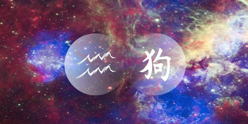 რა ელით სხვადასხვა წელში დაბადებულ მერწყულებს -  2020 წლის აღმოსავლური ჰოროსკოპი