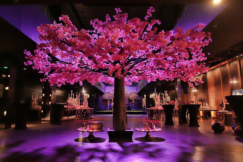 სამ რაან სპა-ცენტრმა 5 წლის იუბილე აღნიშნა - რა სასიხარულო სიახლე გააჟღერა სამ რაან სპამ იუბილეზე