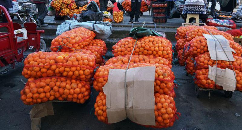 მძიმე შემოდგომა აფხაზეთში - “სანამ ჩვენ მანდარინის და მიმოზების გაყიდვით ვცდილობთ თავის რჩენას, ქვეყანაში ნარკობიზნესი ყვავის..."