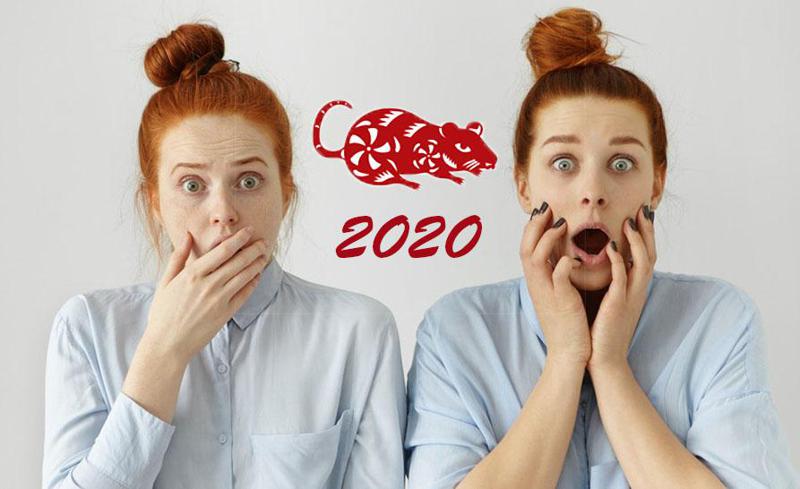 რა ელით სხვადასხვა წელში დაბადებულ ტყუპებს - 2020 წლის ჩინური ჰოროსკოპი