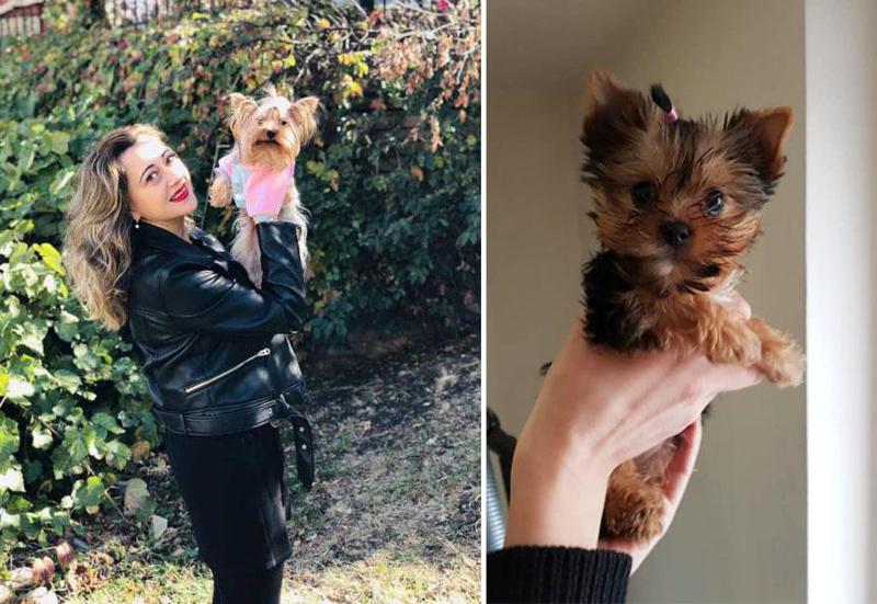 "ბიბი 2-3 კვირის იყო, შინ რომ მივიყვანე, ჩემი შვილი სიხარულისგან ტიროდა" - რას ურჩევს ცნობილი ტელეწამყვანი მათ, ვისაც ძაღლის ყოლა სურთ