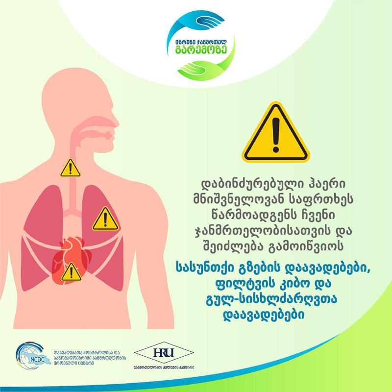 ჩამოცვენილი ფოთლების დაწვით წარმოქმნილი კვამლი, შესაძლოა, ზიანის მომტანი იყოს ადამიანის ჯამრთელობისთვის