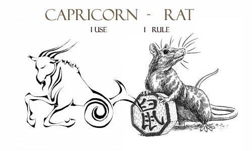 რა გელით სხვადასხვა წელში დაბადებულ თხის რქებს - 2020 წლის ჩინური ჰოროსკოპი