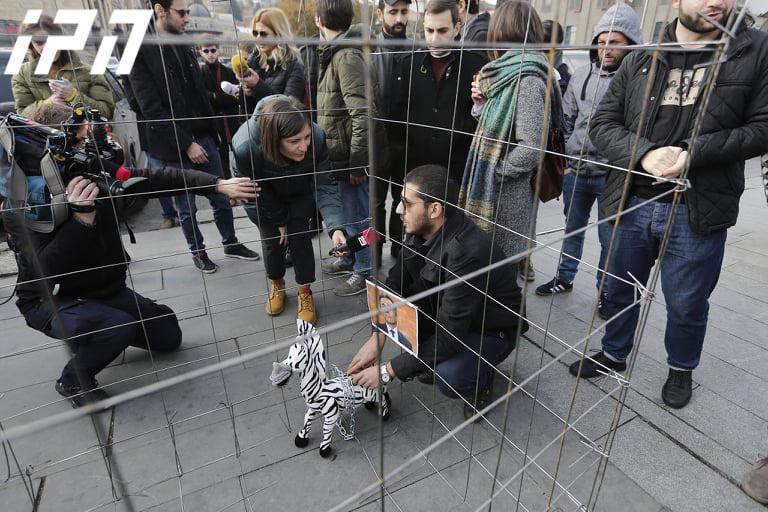 ჯაჭვით  დაბმული ზებრა გალიაში - "გაბედეს" პერფორმანსი რესპუბლიკის მოედანზე