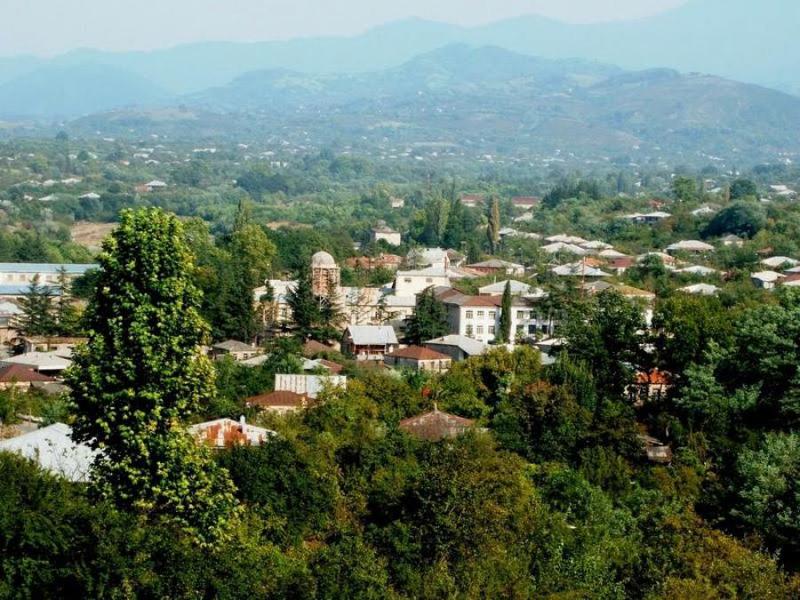 შსს - დაკავებულია პირი, რომელმაც ვანში ბიზნესპარტნიორი მოკლა, ცხედარი ლითონის კასრში მოათავსა და ცეცხლი წაუკიდა