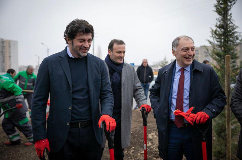 „თიბისის“ და თბილისის საკრებულოს ინიციატივით, ვარკეთილში 1 300 მარადმწვანე ხე დაირგო