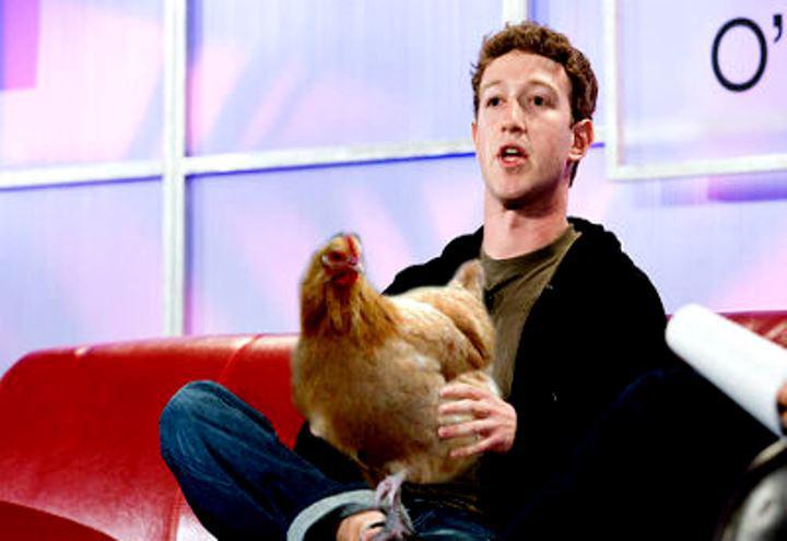 მილიარდერის ახირებები - მარკ ცუკერბერგი ხორცს მხოლოდ მაშინ ჭამს, თუ ცხოველი თავად მოკლა