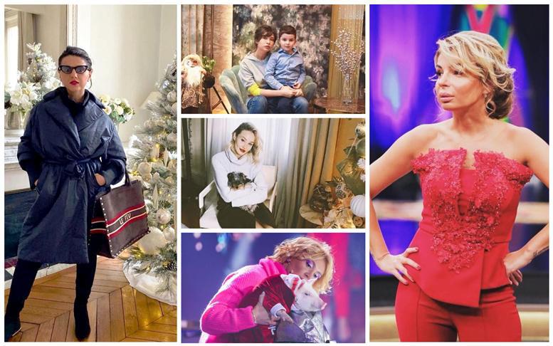 როგორ გამოიყურება ცნობილი ქართველების ნაძვის ხეები