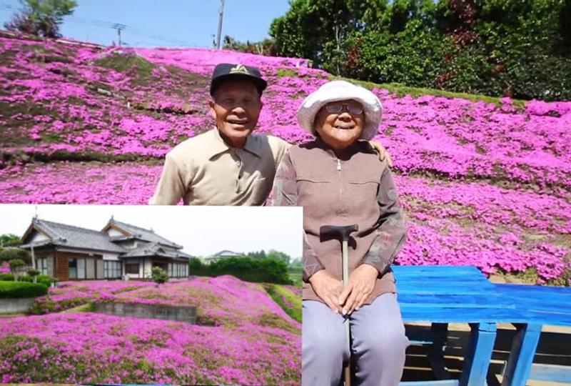 ქმარმა უსინათლო ცოლს სურნელოვანი ყვავილების ბაღი გაუშენა, რათა სამყარო სუნით შეეგრძნო