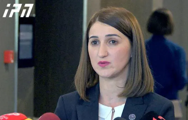 "ოფისი აღარ გვაქვს, ჩვენი ორგანიზაცია დაიხურა" - ლონდა თოლორაია