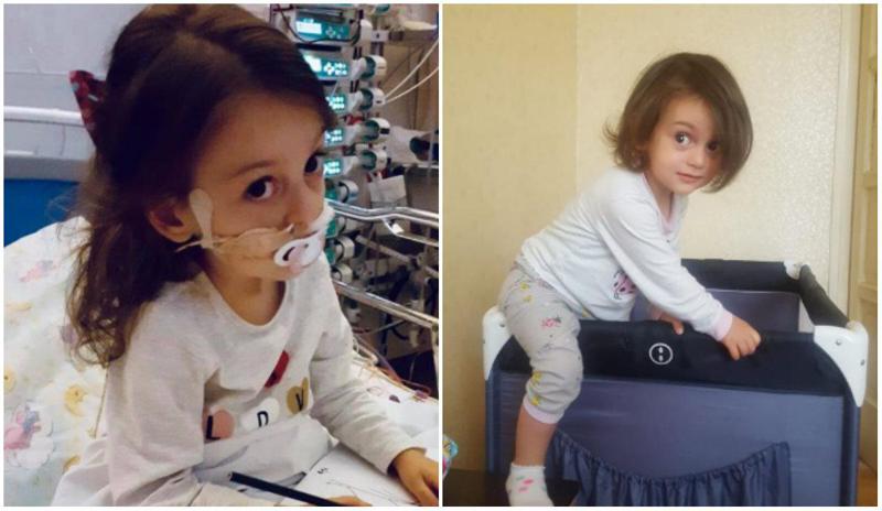 "ფრენის ბოლოს გაიღვიძა და გამოაცხადა: " მე ბაჭია ვარო" - ანიტა ფაცაცია ინდოეთშია, მგზავრობამ გართულებების გარეშე ჩაიარა