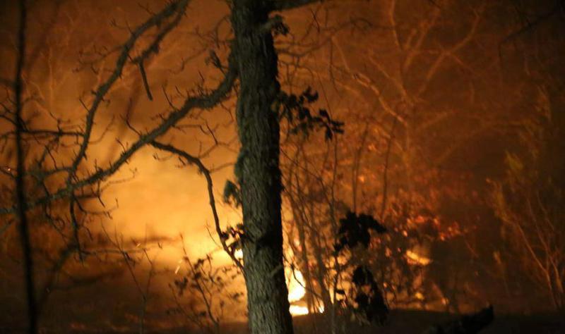 ატენის ხეობაში ძლიერ ხანძარს 200-მდე მეხანძრე აქრობს - ფოტოები სტიქიის ზონიდან