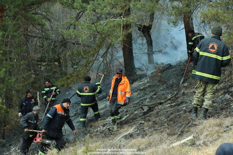 ატენის და რკონის ხეობებში, ასევე სოფელ ფახულანში ხანძრს  100-მდე მეხანძრე-მაშველი აქრობს