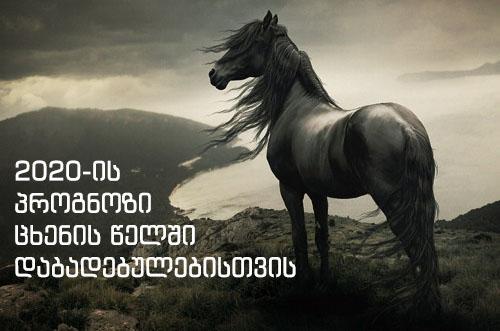 როგორი იქნება  2020 ცხენის წელში დაბადებულებისთვის - აღმოსავლური პროგნოზი სტიქიების მიხედვით