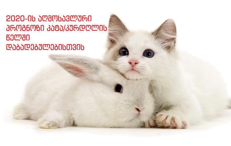 2020 წლის აღმოსავლური პროგნოზი  კატა/კურდღლის წელიწადში დაბადებულებისთვის - ნამდვილ სიყვარულთან შეხვედრა გელით