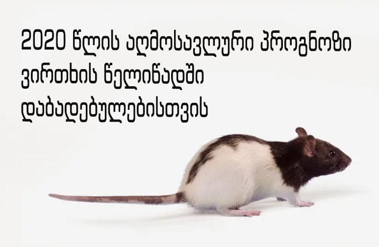 რა ელით  2020 წელს ვირთხის წელიწადში დაბადებულებს - აღმოსავლური პროგნოზი