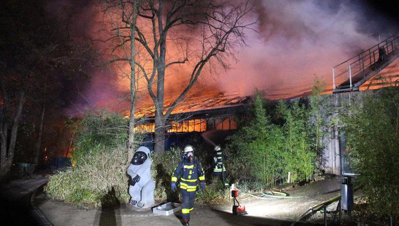 გერმანიის ზოოპარკში ხანძარს თითქმის ყველა ცხოველი ემსხვერპლა - ხანძრის შემდეგ გადაღებული ფოტოები