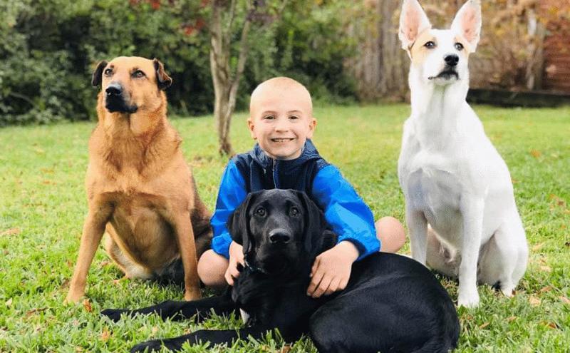 7 წლის  ბავშვი, რომელმაც 1500 ძაღლი გადაარჩინა - გაიცანით პატარა გმირი დიდი და კეთილი  გულით