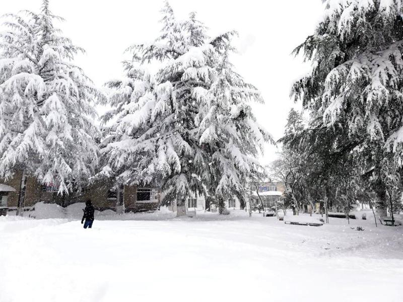 ფოტოები აჭარის მაღალმთიანეთიდან, სადაც დიდთოვლობის გამო სწავლა შეწყდა