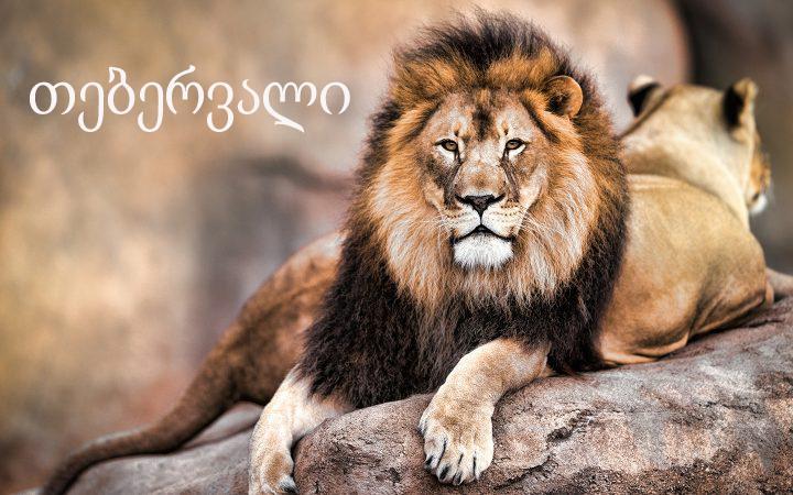 თებერვლის ასტროლოგიური პროგნოზი ლომებისთვის - "ყველაზე თამამი ოცნებებიც კი შეიძლება, აისრულოთ..."