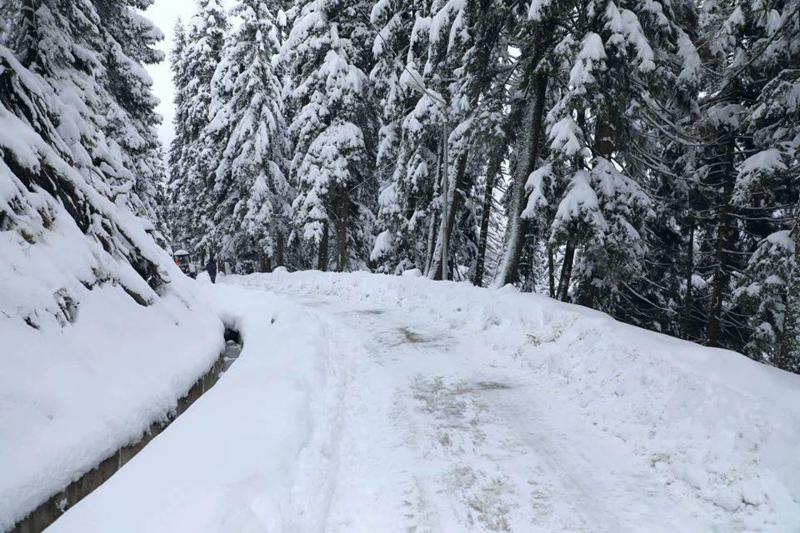 თოვლი, ყინვა, ქარი - როგორია უახლოესი დღეების ამინდის პროგნოზი?