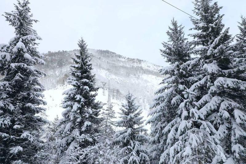 აღმოსავლეთ საქართველოში 6-7 დეკემბერს ითოვებს - უახლოესი დღეების ამინდის პროგნოზი