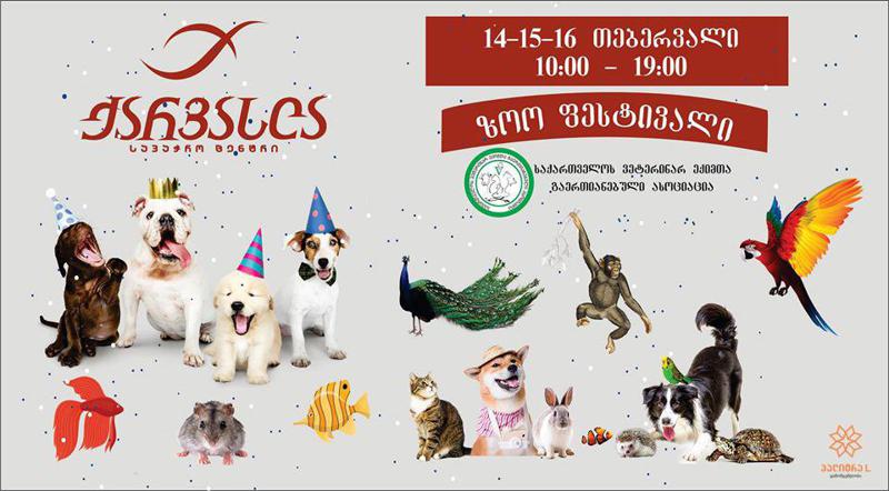 14 თებერვლიდან 16 თებერვლის ჩათვლით, "ქარვასლაში" ზოო ფესტივალი გაიმართება