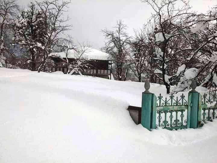 "თოვლში გვირაბებს ვჭრით და ისე დავდივართ..." - ფოტოები სოფელ მუხურადან, რომელიც გადაუღებელმა თოვლმა გარესამყაროს მოწყვიტა