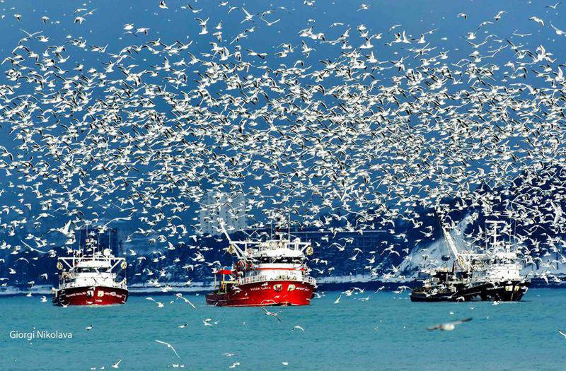 ასეთი ლამაზი ბათუმი ჯერ არასდროს გინახავთ - იმოგზაურეთ ჯადოსნურ ზღვის ქალაქში