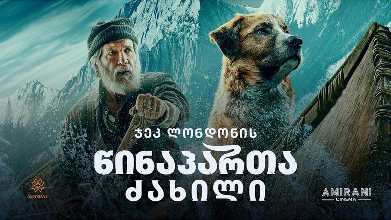 კინოთეატრ "ამირანში" ჯეკ ლონდონის "წინაპართა ძახილის" ეკრანიზაციის პრემიერა გაიმართება