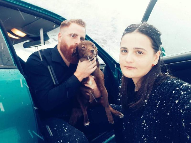 "გარდაცვალებამდე დედამ გვითხრა, მიხედეთ, სანამ იცოცხლებსო..." - ძაღლებზე შეყვარებული და-ძმა და უჩვეულო მეტისის სევდიანი ამბავი