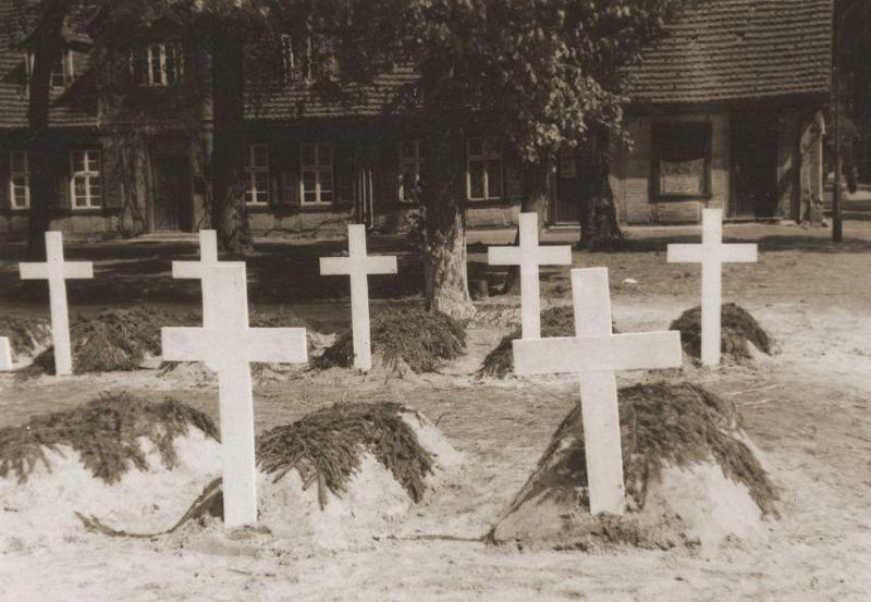 ტყვეთა ბანაკიდან გაქცეული ქართველი ლეიტენანტი ზოოპარკში ემალებოდა ნაცისტებს... - უგზო-უკვლოდ დაკარგული ჯარისკაცების ახალი მონაცემები