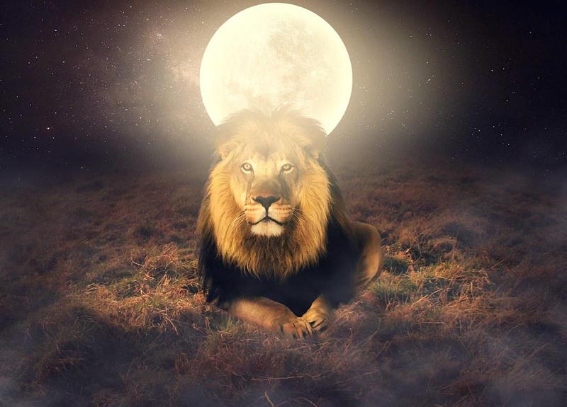 როგორი იქნება და რას უმზადებს მარტი ლომებს - მომდევნო თვის ასტროლოგიური პროგნოზი