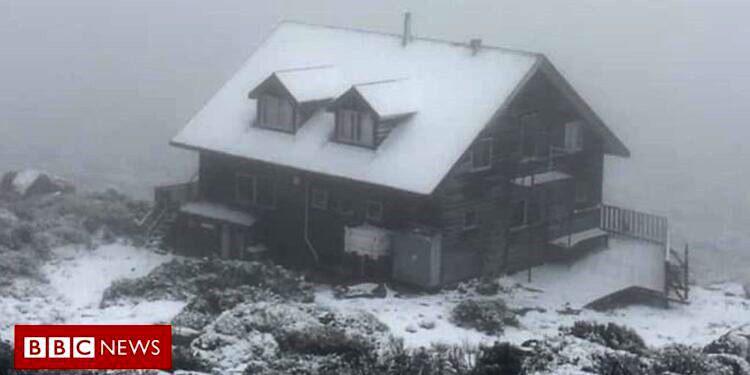 უჩვეულო ამინდი ავსტრალიაში - მიუხედავად ზაფხულისა, ქვეყანაში თოვლი მოვიდა