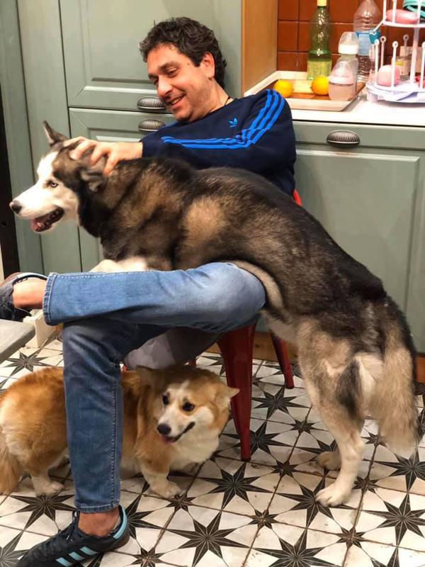 არის თუ არა შესაძლებელი ალკოჰოლის, აზარტული თამაშებისა და ნარკოტიკისგან თავის დაღწევა?