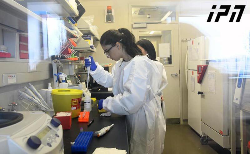 რას ნიშნავს PCR ტესტი, რომელსაც საქართველოში კორონავირუსის დასადგენად იყენებენ და როგორია სწრაფი ტესტები მსოფლიოს სხვა ქვეყნებში