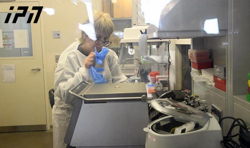 კიბერშეტევა ლუგარზე: უკანონოდ მოპოვებული დოკუმენტაციის ნაწილი ატვირთულია ერთ-ერთ უცხოურ ვებგვერდზე